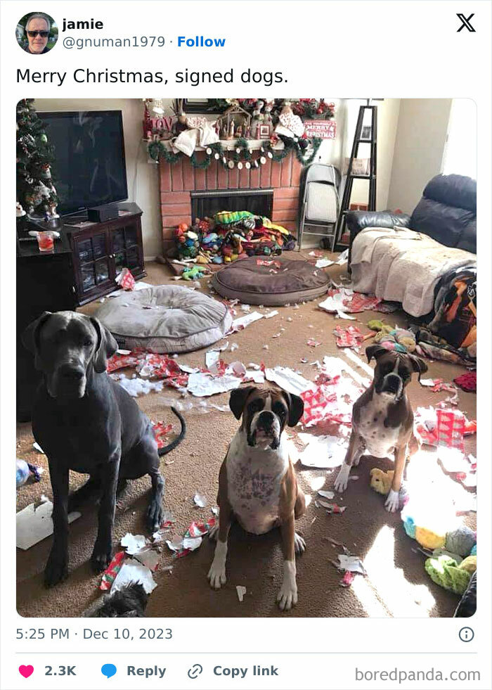 No Way, It Must Have Been The Famous Mischievous Cat