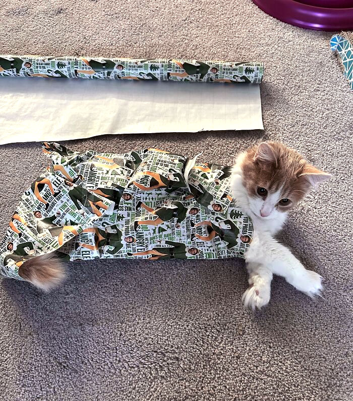 Pancakes Kept Getting In The Way, So He Became The Present (He Had No Complaints)