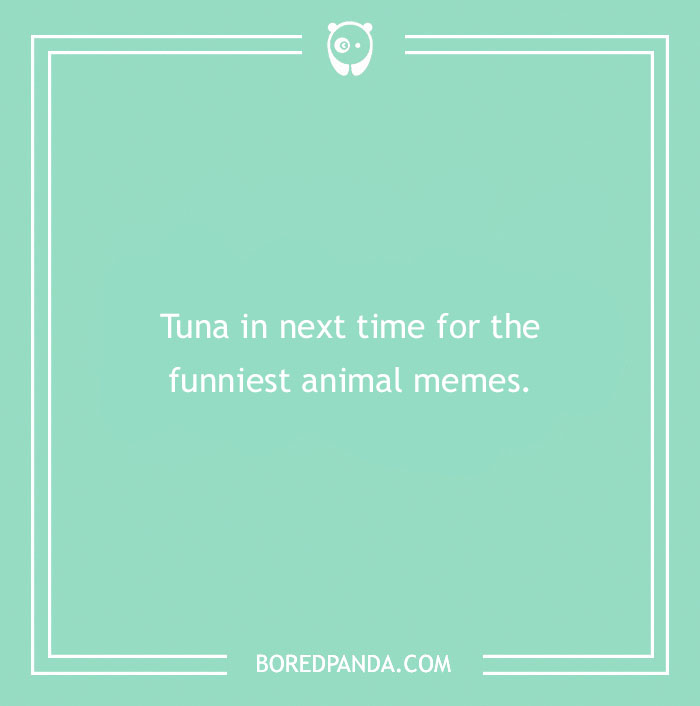 180 Fin-tastically Funny Fish Puns