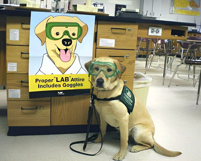 Proper Lab Attire