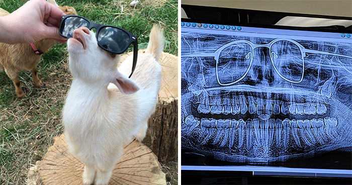 50 Times People Had The Funniest Glasses