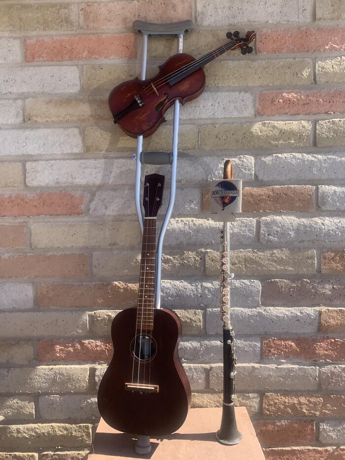 The Next Chapter After The Claraflute Cane Is The Violele In Recovery