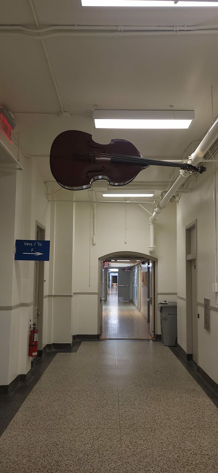 I've Heard This Bass Is In Working Condition But I Think It Suits Better As A Ceiling Ornament