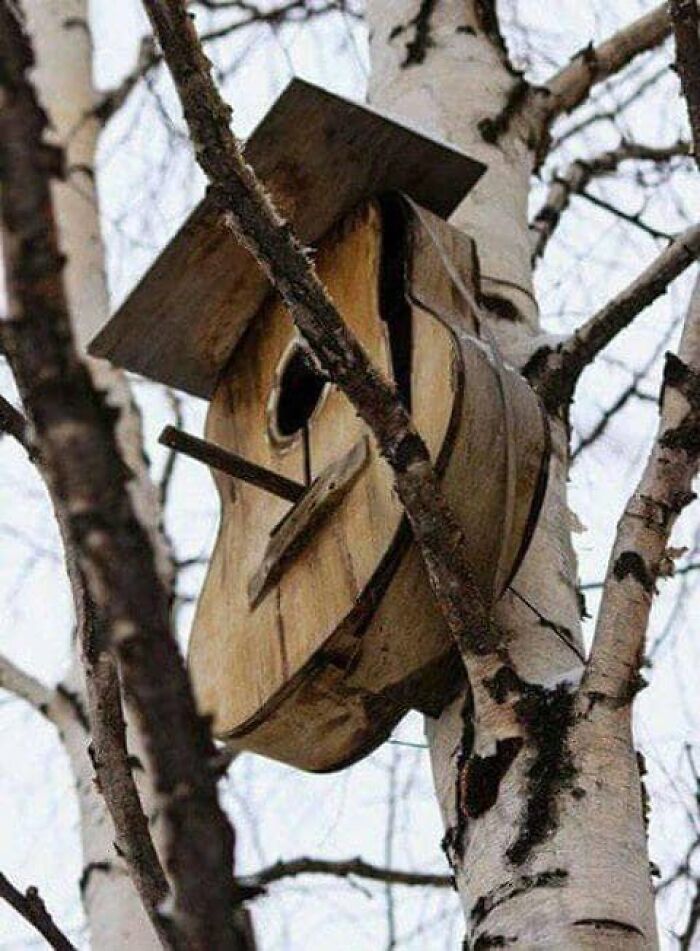 That's A Really Really Good Upcycle