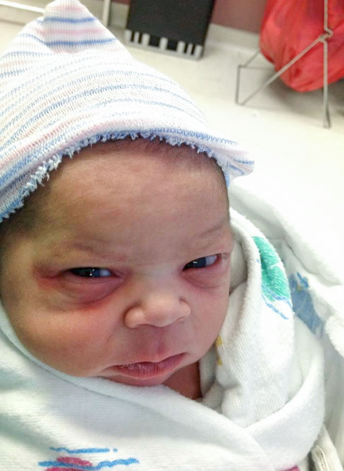 Everyone Knows Not To Bother Her During Tax Season