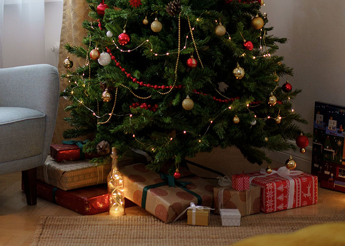 &ldquo;No One Gets Bows This Year&rdquo;: Woman Takes Petty Revenge On Entitled SILs