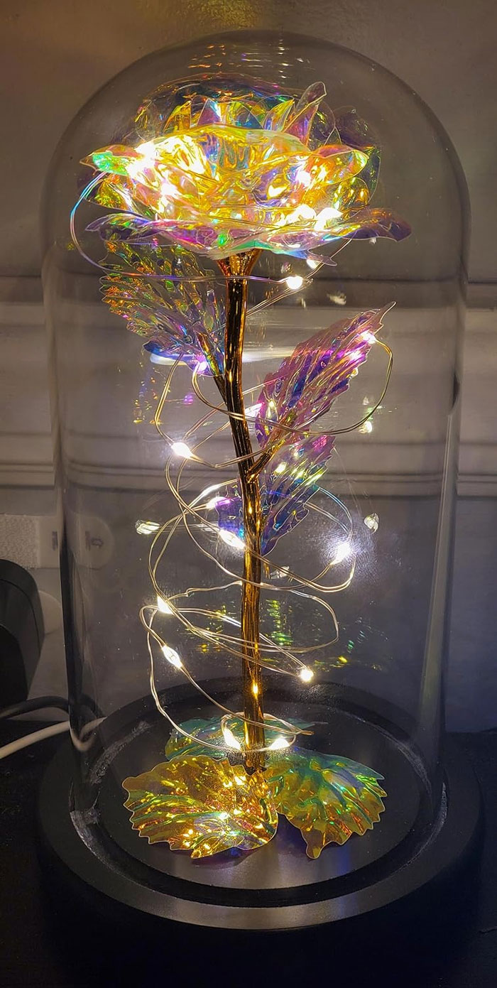 Artificial Flower Rose In A Glass Dome: Perfect for the girlfriend who appreciates beauty wrapped in eternity - a little bit beaut, a little bit beast, all heart!