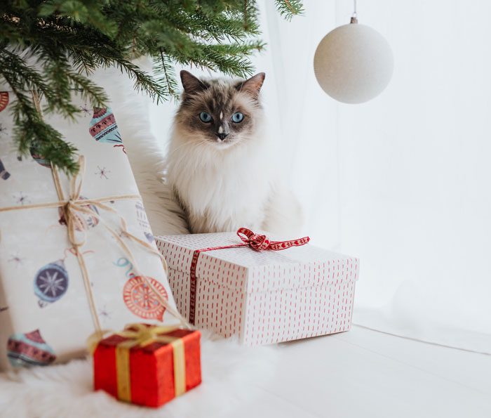 &ldquo;AITAH For Making A Glitter Bomb Gift That Was Stolen?&rdquo;