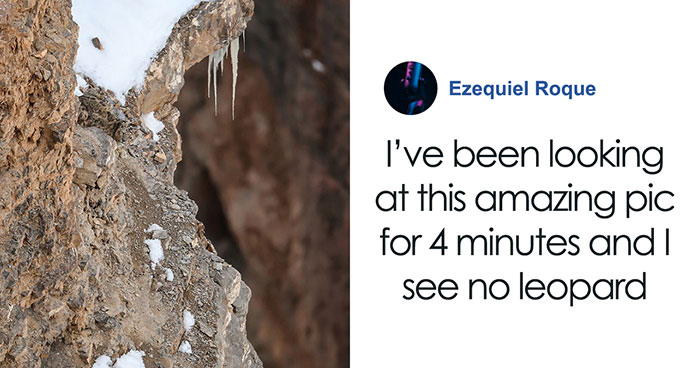“I’m Losing My Mind”: People Go Crazy Trying To Spot The Snow Leopard Hidden In This Photo