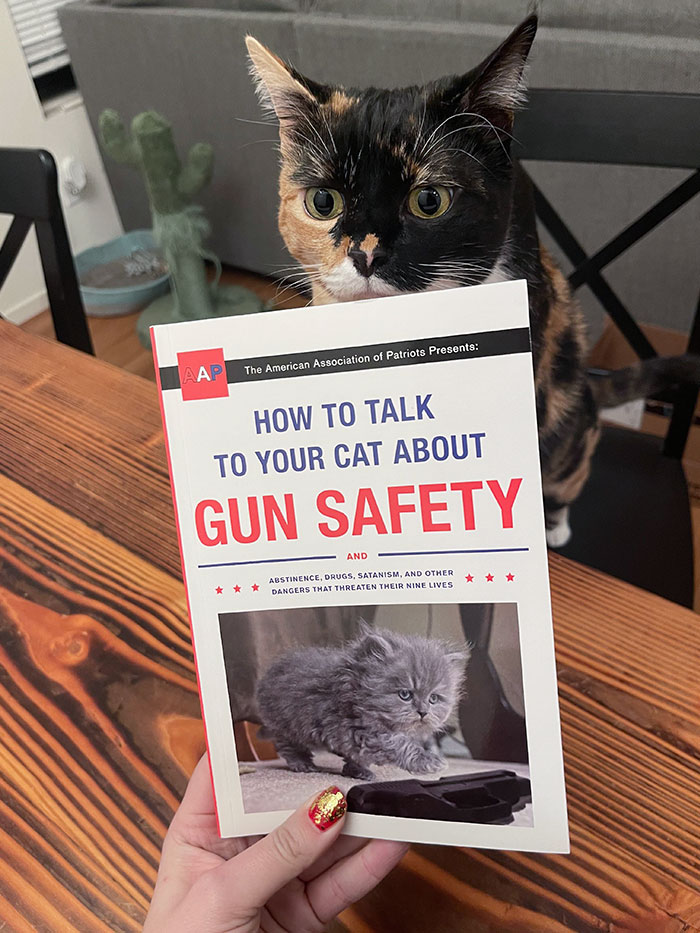 Best Christmas Gift I’ve Ever Received