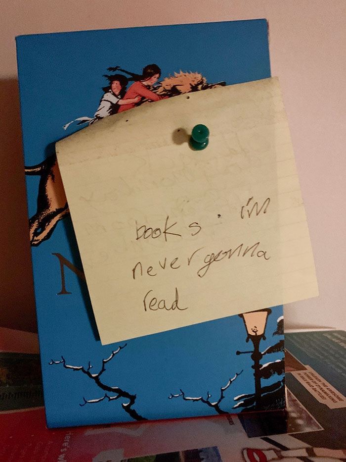 I Don’t Think My 10-Year-Old Was Pleased To Receive The Narnia Books For Christmas