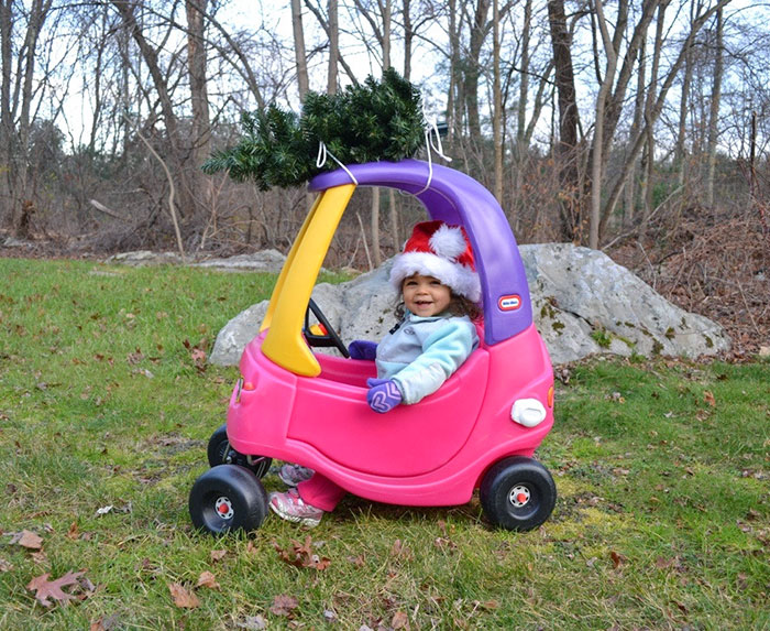 My Daughter Bringing Home The Christmas Tree