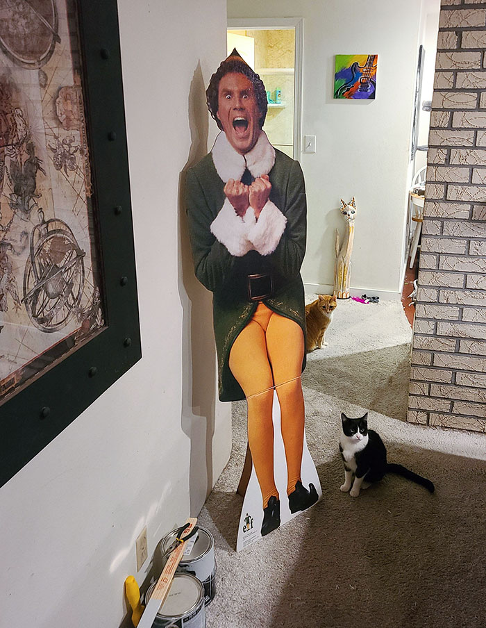 First Christmas Living With My Girlfriend. I Almost Had A Heart Attack When I Walked In The Door Tonight