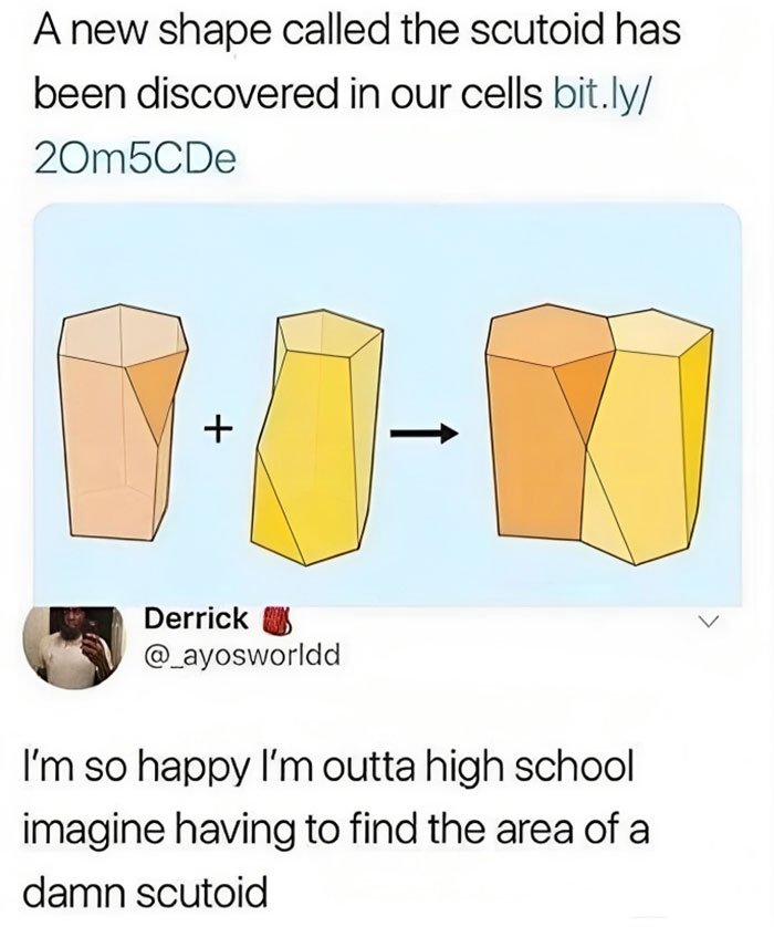 Teacher: The Exam Won't Be That Hard! The Exam: