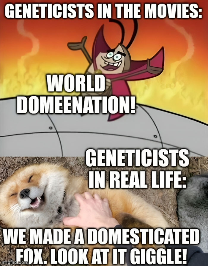 Perception Is Never Reality