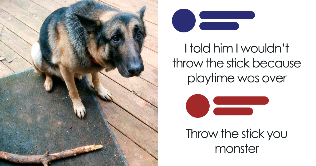 “If You Need It Explained, You Won’t Understand”: 50 Posts From ‘Delusions Of Adequacy’ (New Pics)