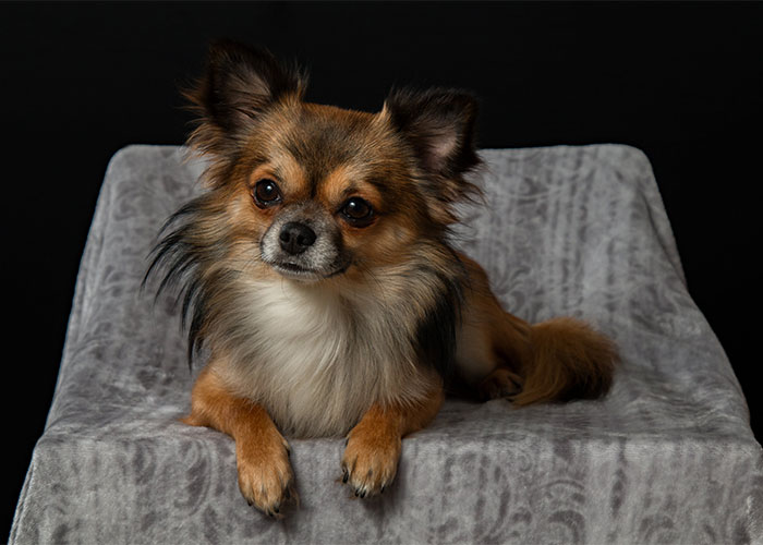 “What’s A Word That Someone Horribly Mispronounced That You Still Remember?” (30 Answers)