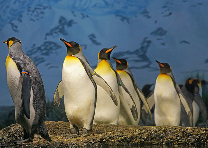 “What’s A Word That Someone Horribly Mispronounced That You Still Remember?” (30 Answers)