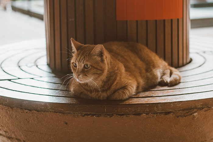 30 Hotel Workers Reveal The Disturbing Or Wild Incidents They've Witnessed On The Job