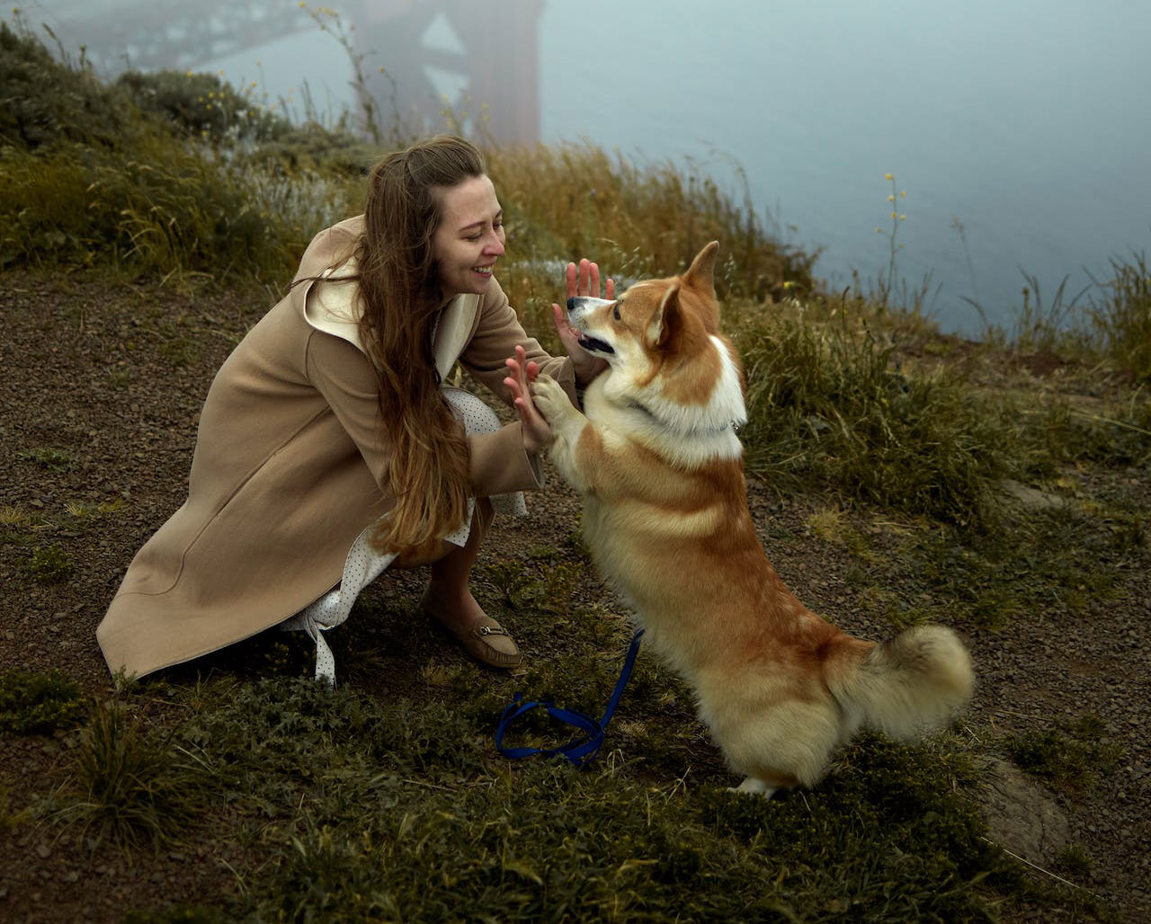 Woman playing with her dog outdoors, showing love and bonding.