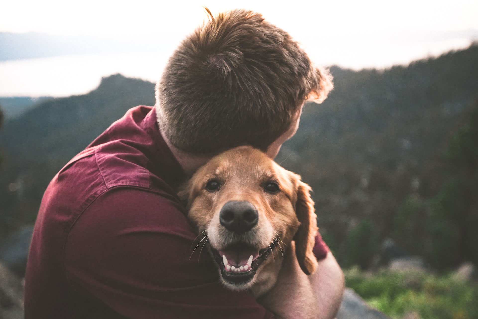 Person hugging a smiling dog outdoors, showing love and affection.