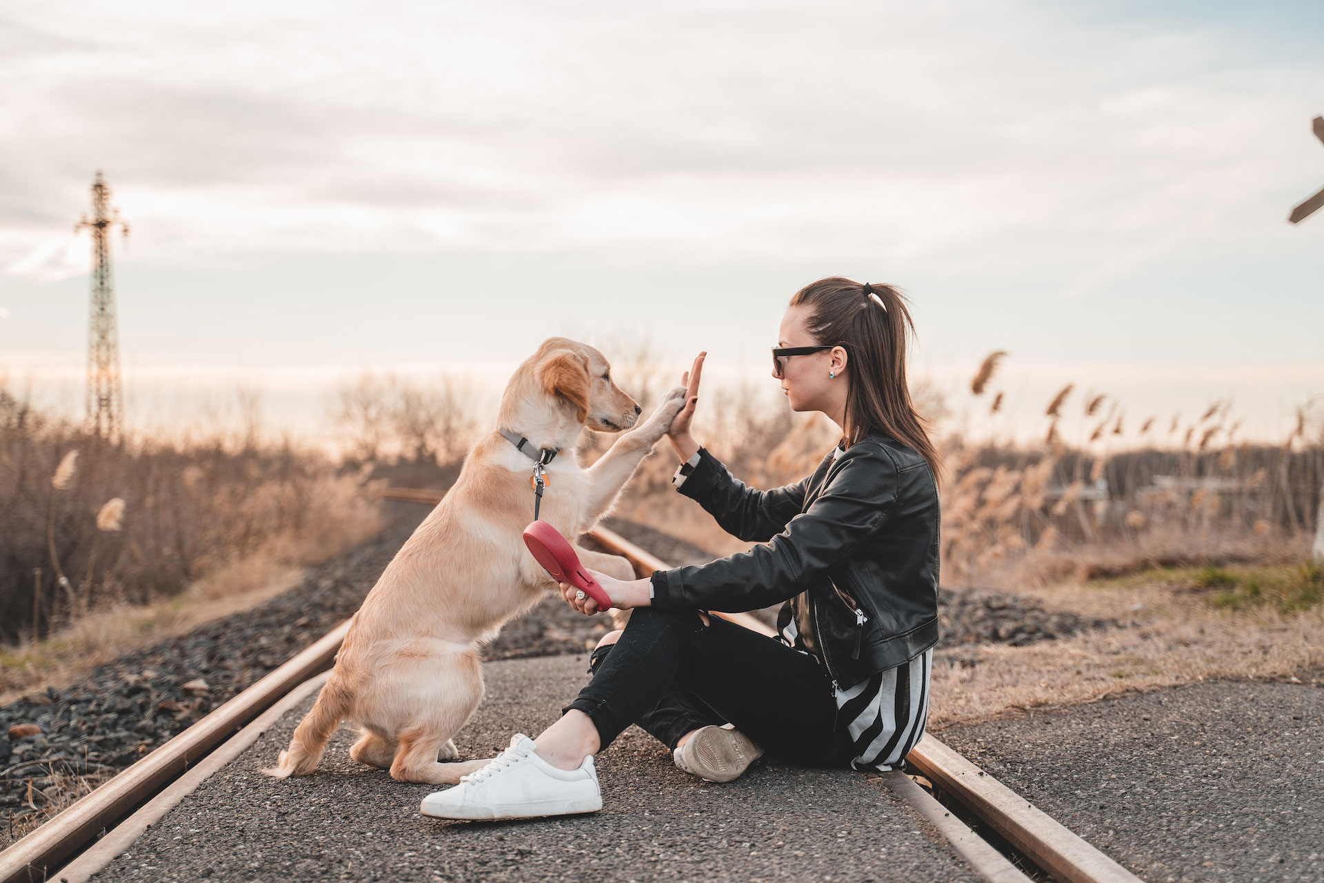 Woman sitting with her dog, giving a high-five, outdoors on a sunny day.