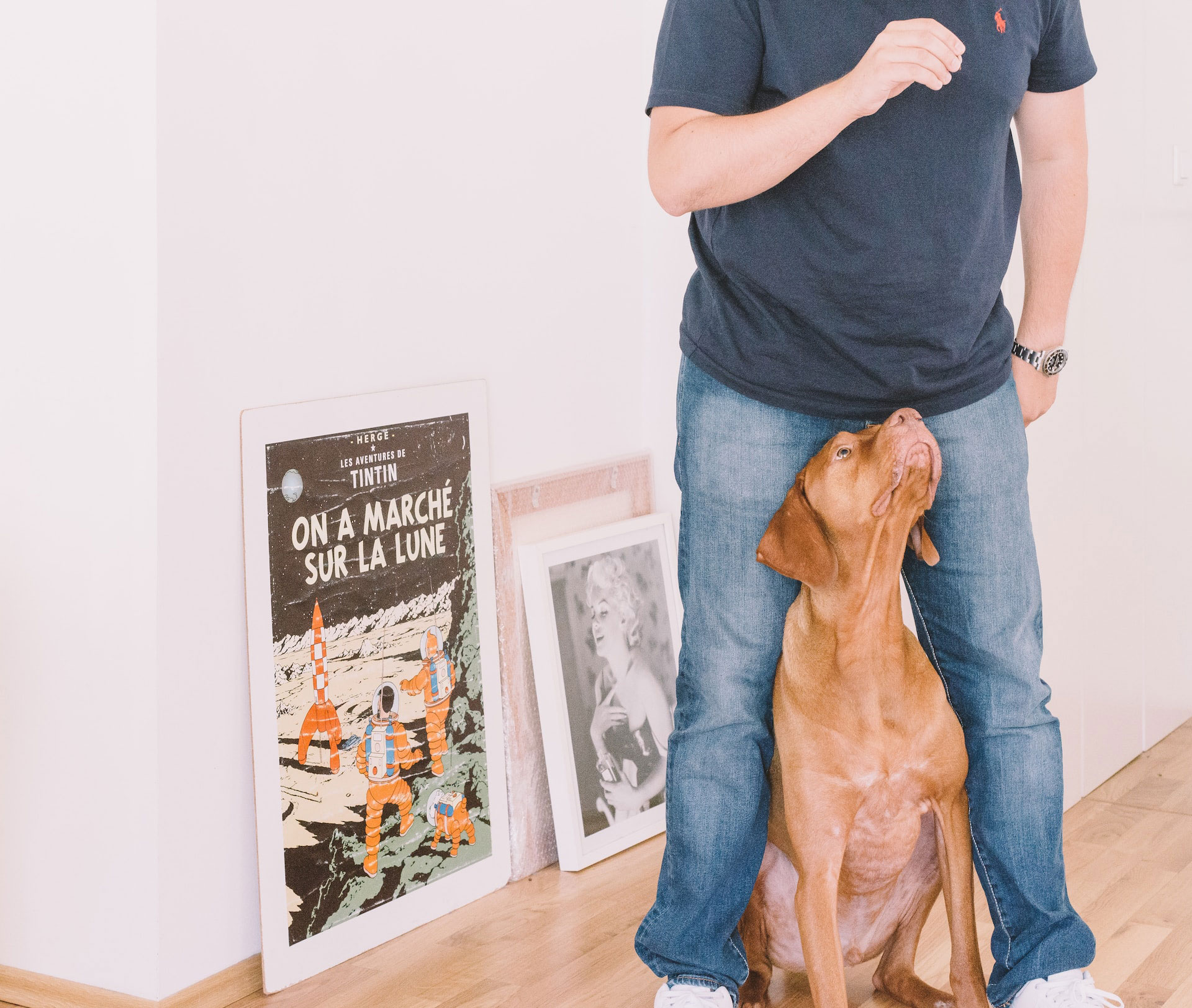 Person showing love to dog, standing with dog between their legs, beside a wall with framed prints.