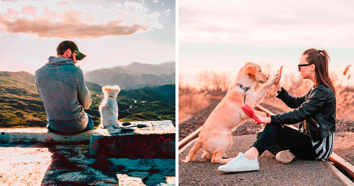 10 Ways to Show Your Dog You Love Them That They Understand