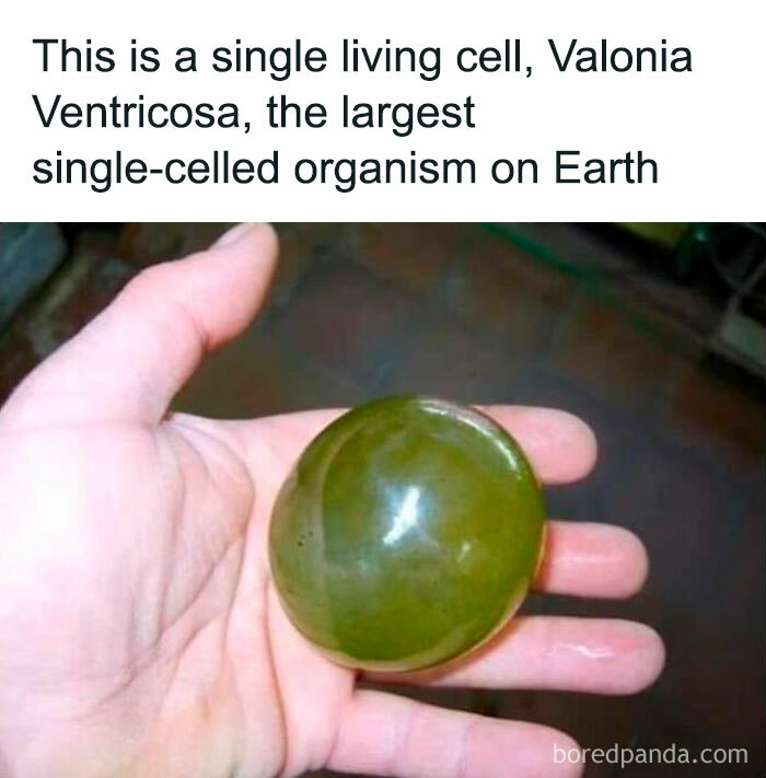 Humorous-Light-Science-Memes