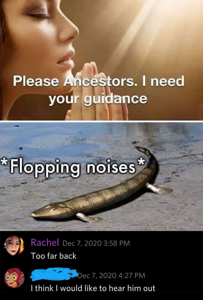 Humorous-Light-Science-Memes