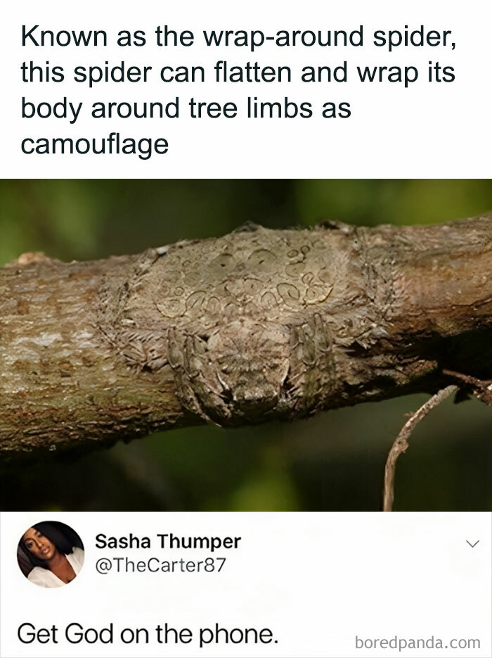 Humorous-Light-Science-Memes