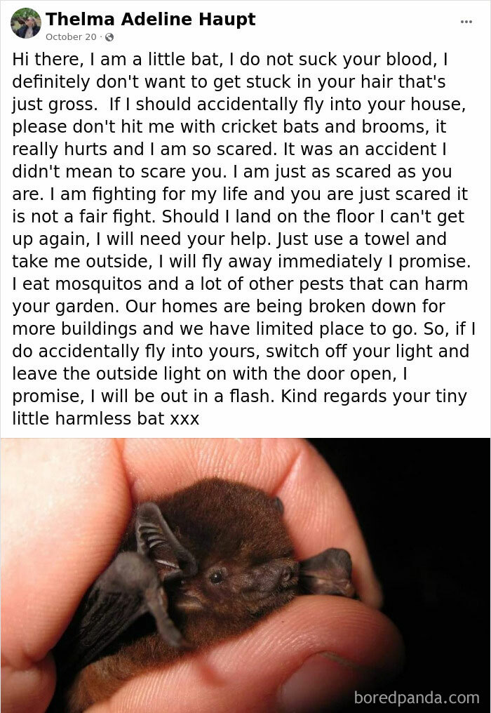 Humorous-Light-Science-Memes