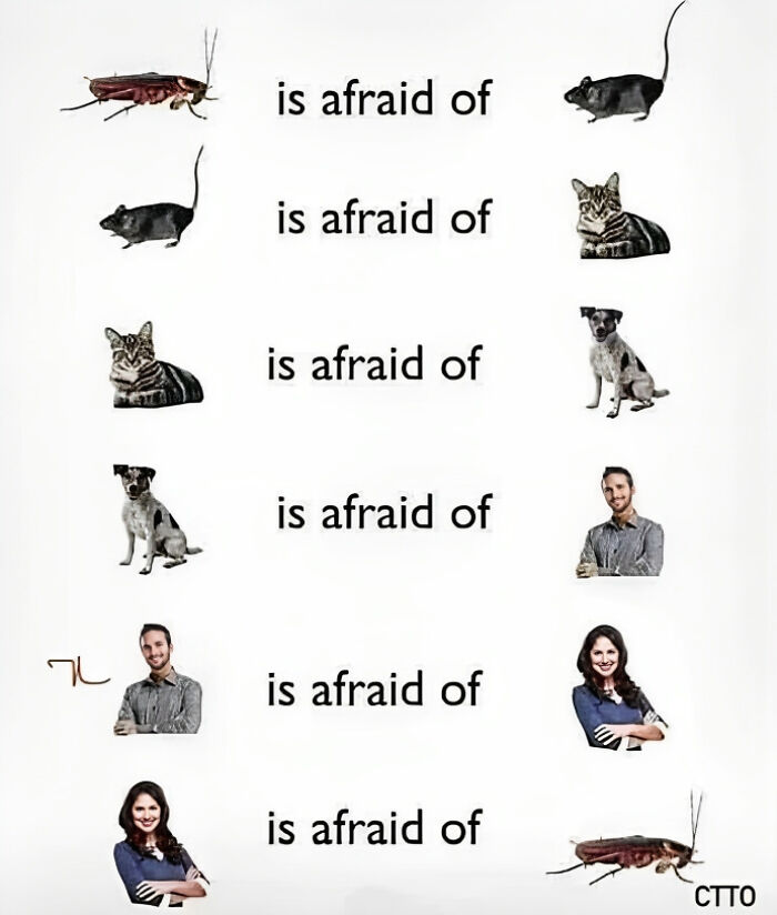 Humorous-Light-Science-Memes