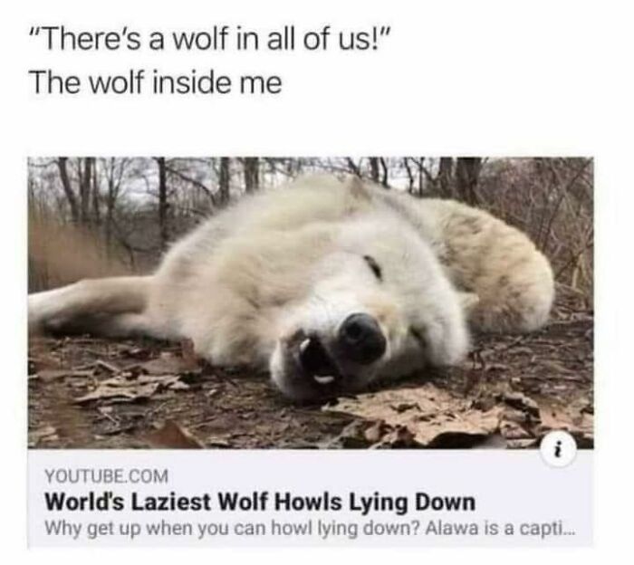 Humorous-Light-Science-Memes