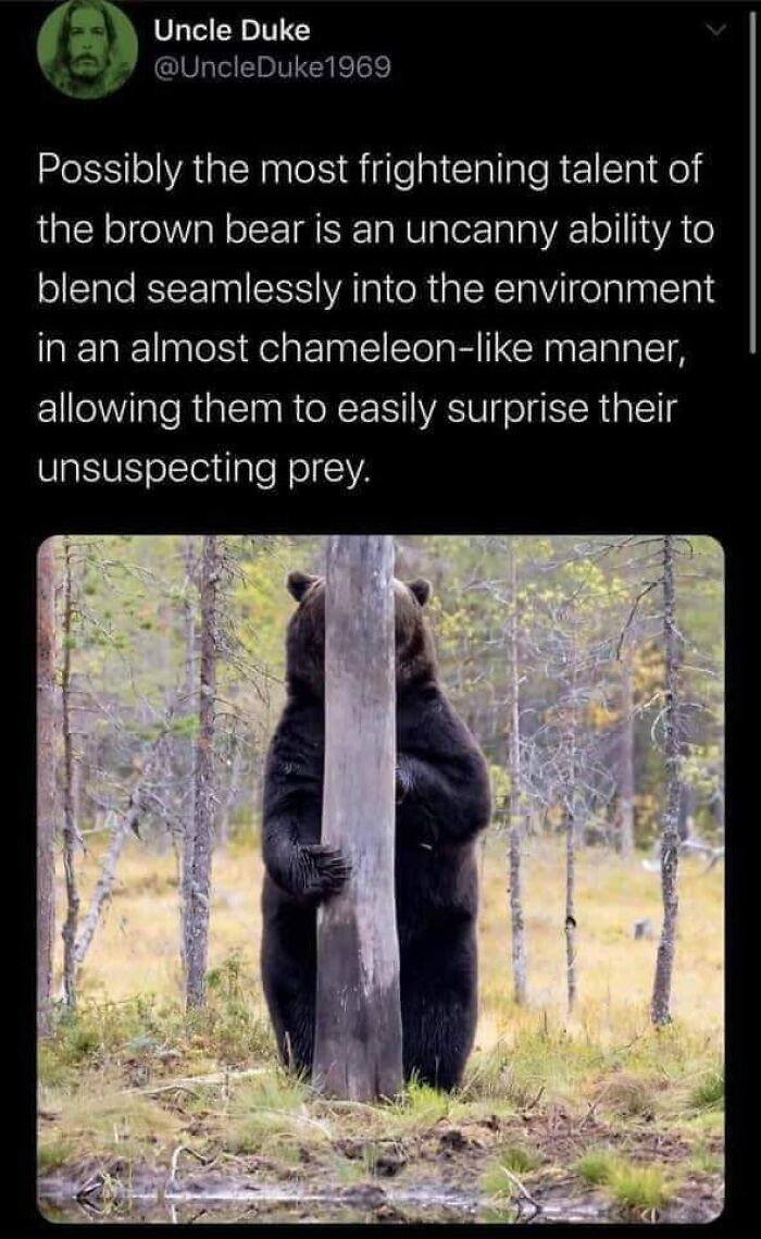 Humorous-Light-Science-Memes