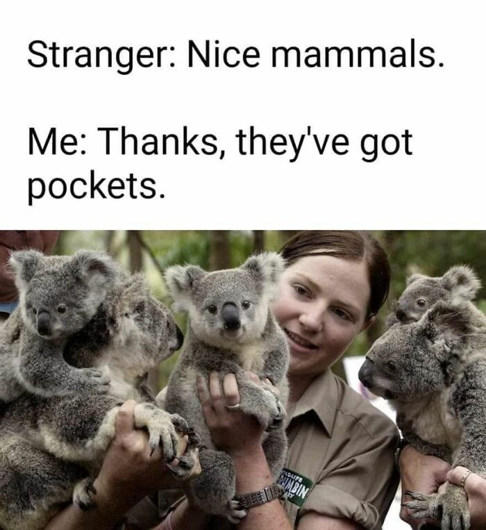 Humorous-Light-Science-Memes