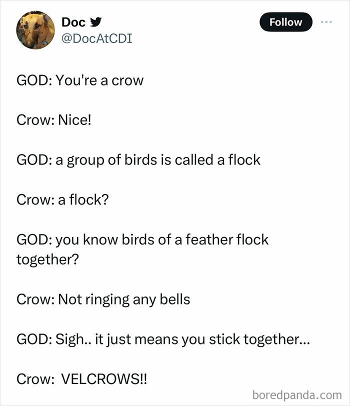 Humorous-Light-Science-Memes