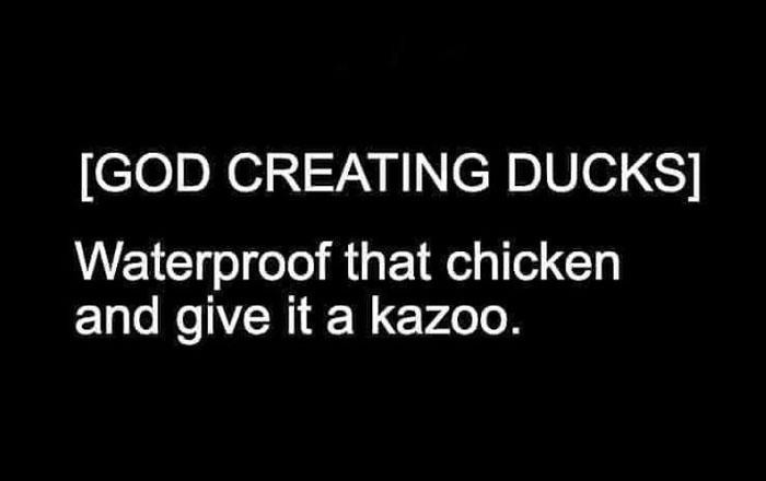 Humorous-Light-Science-Memes