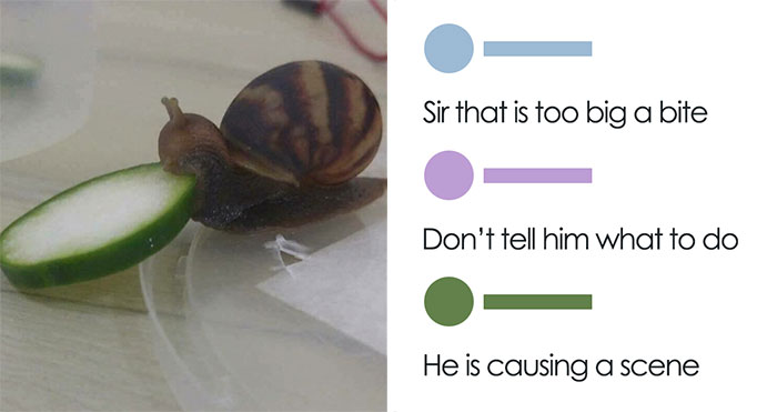 ‘The Lighter Side Of Science’: 50 Hilariously Relatable Memes For All