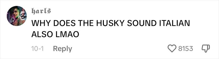 Dog Barks In Italian Accent To Sound Just Like His Owner Dog Barks In Italian Accent To Sound Just Like His Owner