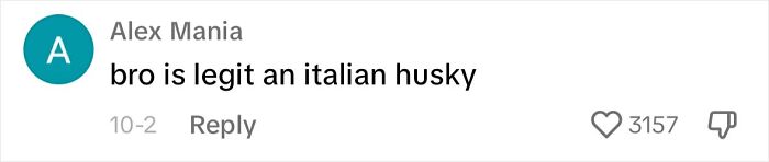 Dog Barks In Italian Accent To Sound Just Like His Owner Dog Barks In Italian Accent To Sound Just Like His Owner