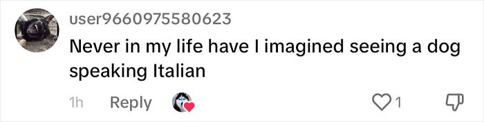 Dog Barks In Italian Accent To Sound Just Like His Owner Dog Barks In Italian Accent To Sound Just Like His Owner