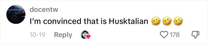 Dog Barks In Italian Accent To Sound Just Like His Owner Dog Barks In Italian Accent To Sound Just Like His Owner