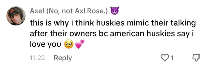 Dog Barks In Italian Accent To Sound Just Like His Owner Dog Barks In Italian Accent To Sound Just Like His Owner