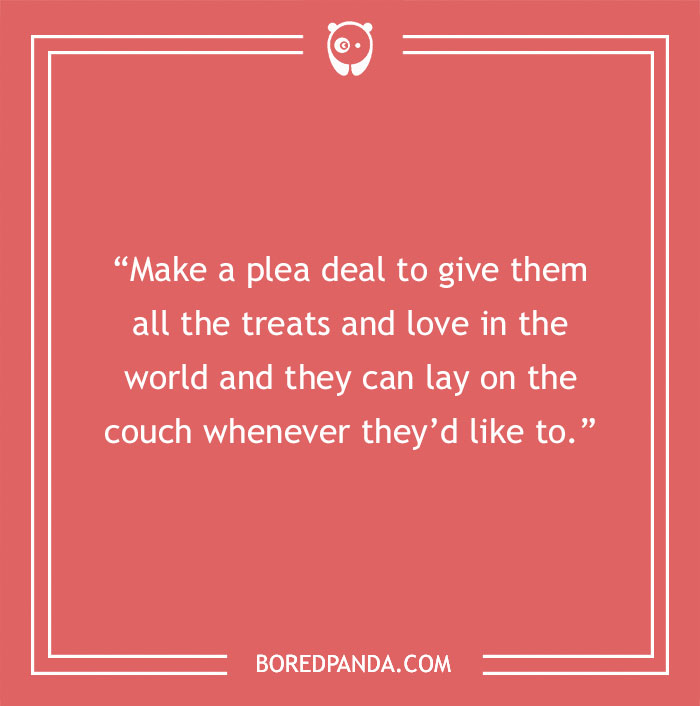 58 Scenarios That We Might Encounter If Dogs Could Talk