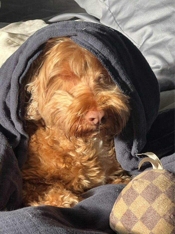 Can’t . . . Keep . . . Eyes . . . Open