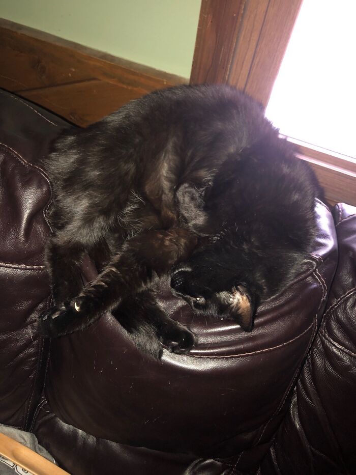 Eyes Open But Definitely Asleep