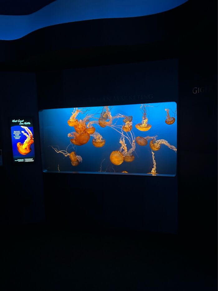 I Took This Picture At The Omaha Zoo And Aquarium In Nebraska During The Summer Time