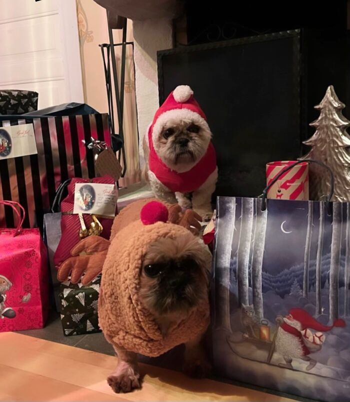 They Were Somewhat Unimpressed With The Setup