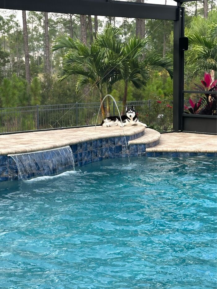 Yes. I Am The Queen!!!!!